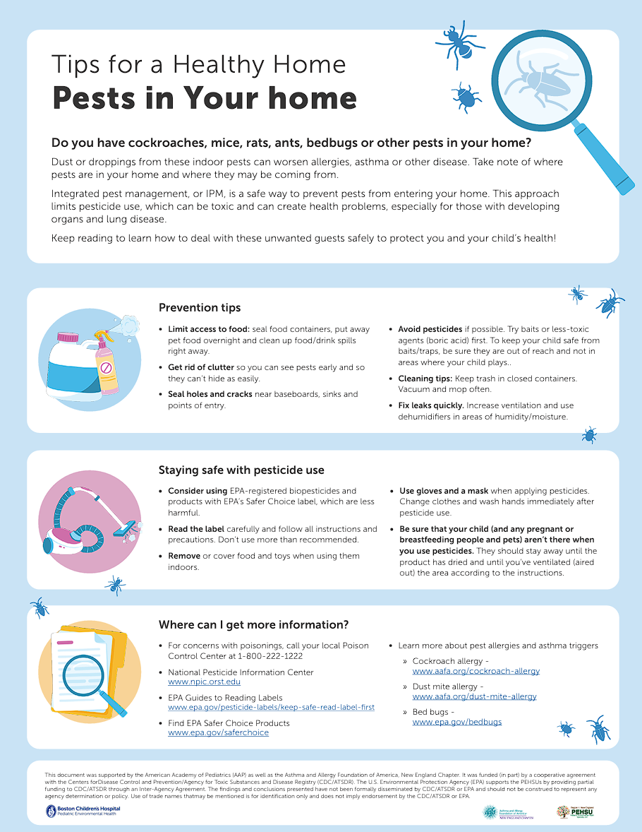 Pests in Your Home